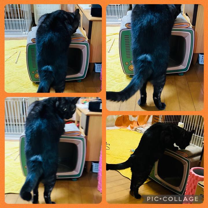 E7632a21 9d00 4473 a0b1 e009946b0581 1738673347811