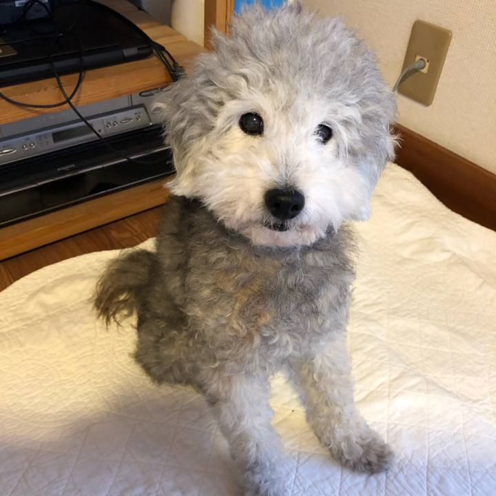 E7636b0e fd30 48d1 b26a a3f0c39b1cb5 1563749461631