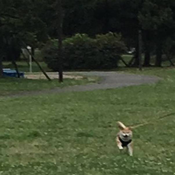 E763c3ca 7232 4ccf b26d a78a2ca21e75 1561628684646