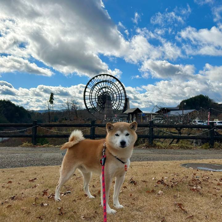 E763dc85 96ef 4460 87fb 66e371ba6432 1735213351938