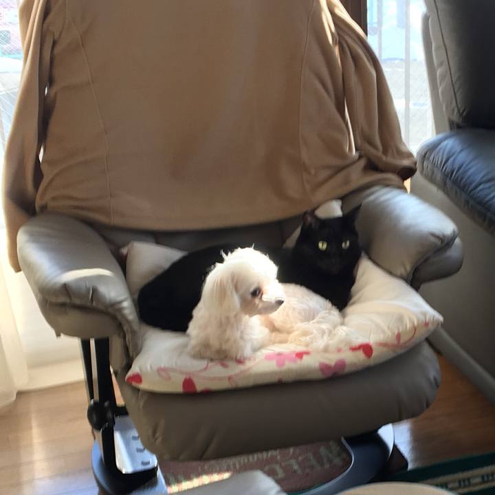 E76405a8 7160 4ecf b551 69f11ea8964c 1546915226454