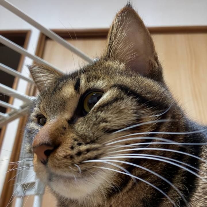 E7641419 f1d0 47e8 998e 06f385b284b5 1767690772889