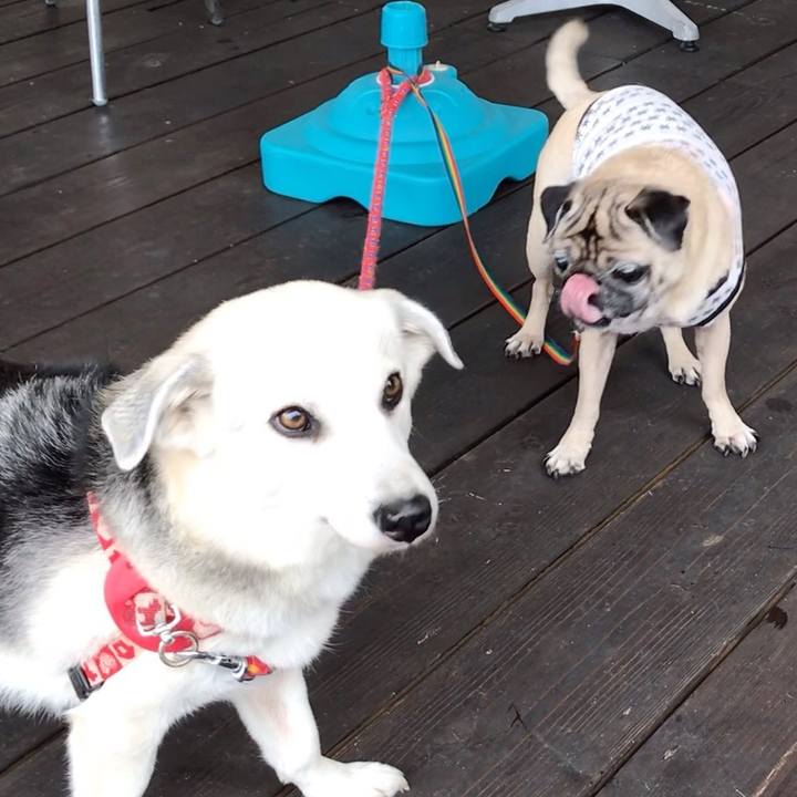 E7642662 b2c8 4521 8d84 098e9b3ed709 1584696635235