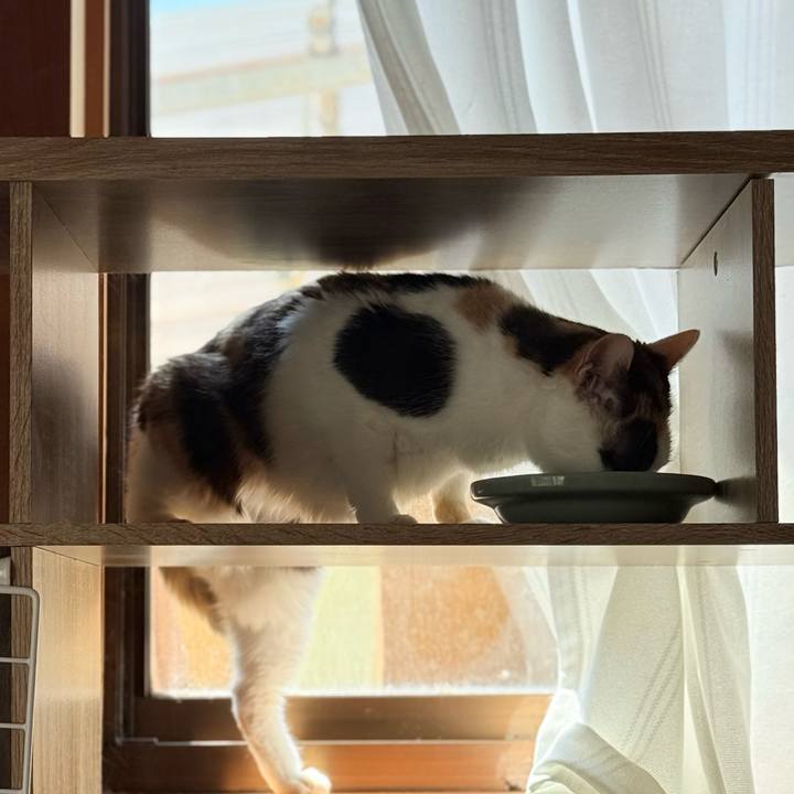 E7645e18 a30b 474a a882 127c823d9366 1746064353178