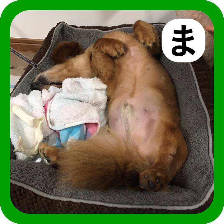 E7646b04 db4c 451b 8986 bac42eb182bb 1514904042372