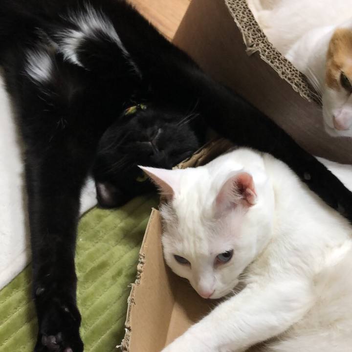 E7646e54 7bf7 4f43 b41d 0c183771adc6 1547206764165