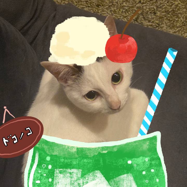 E7648297 278f 4d17 8d99 91a37414ab09 1755079644719