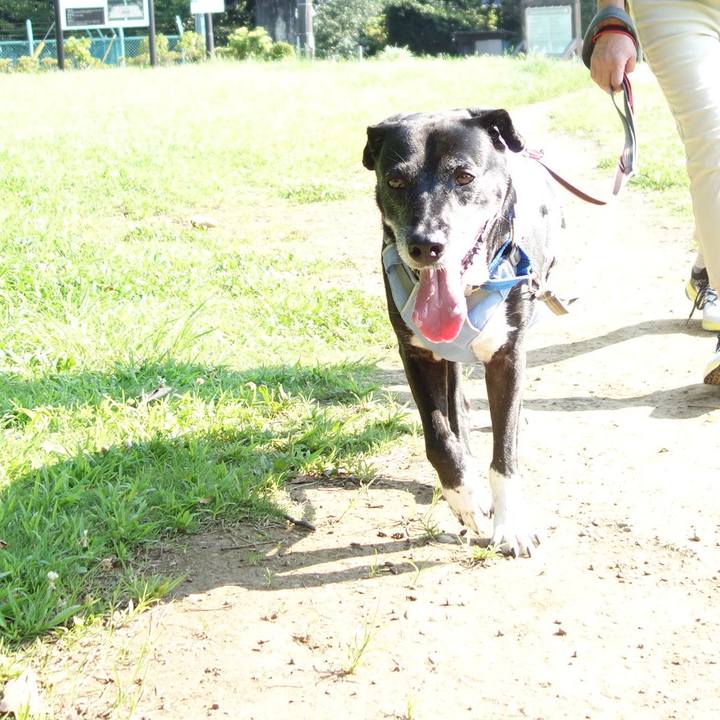 E764ef5e 63c2 47c2 8a93 0c2c24282804 1753318604798