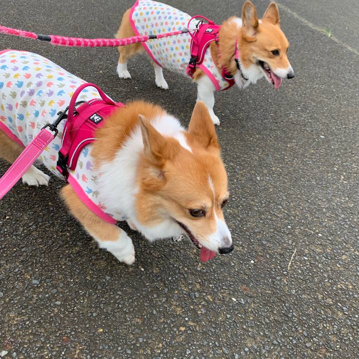 E7651651 be1f 429c b5f0 619e08bc072b 1595807905128