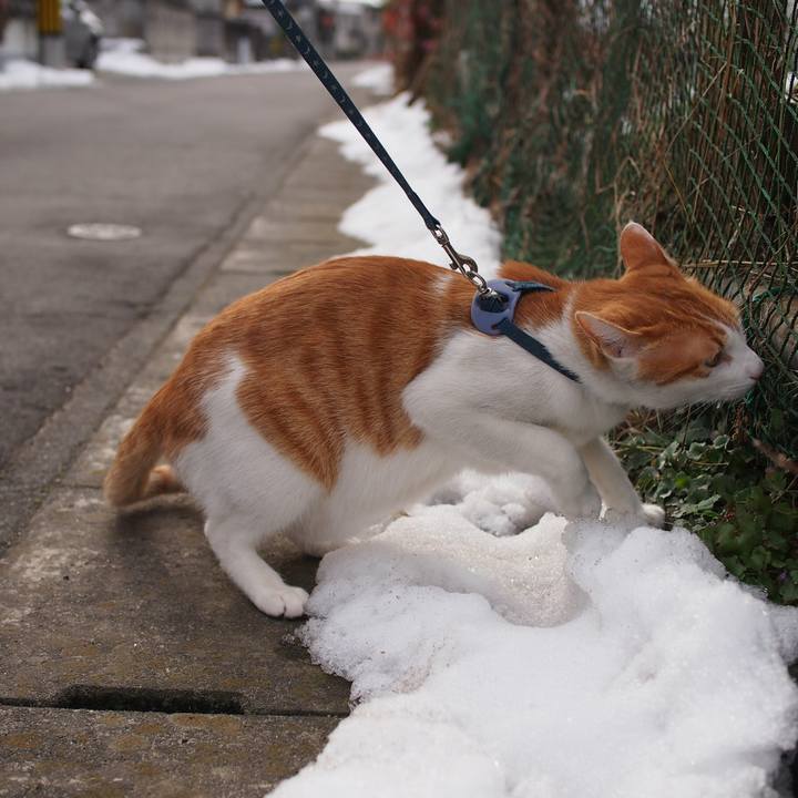 E76517cf 78b3 4735 8979 053566d289bb 1514705021966