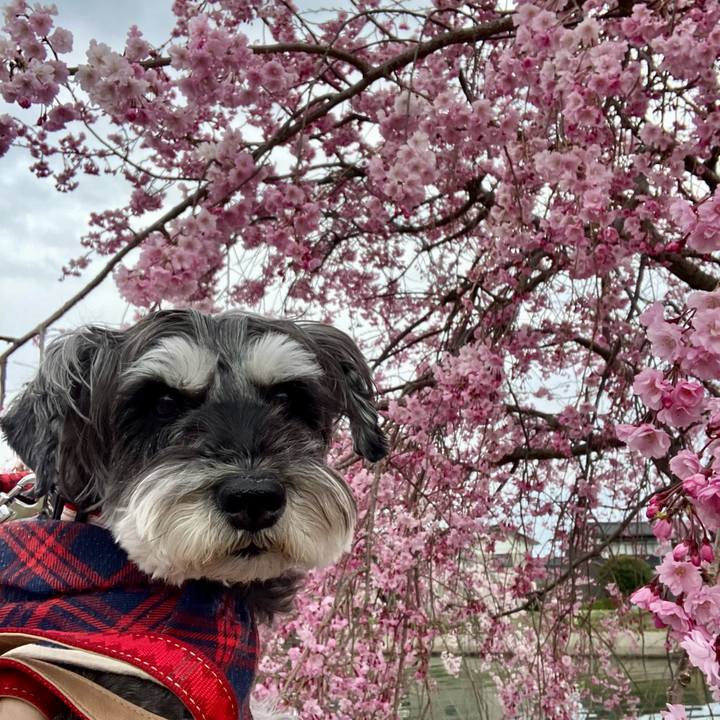 E7658344 ca4a 4d92 a28f 2a9277c22cbf 1744896348903