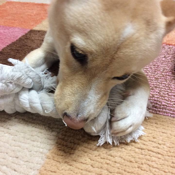 E7658544 55d7 4be2 a957 d6c604e9adb4 1512038512419