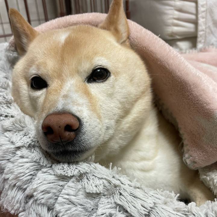 E7658689 423e 4c71 9946 58ebfa37e30e 1735130423056