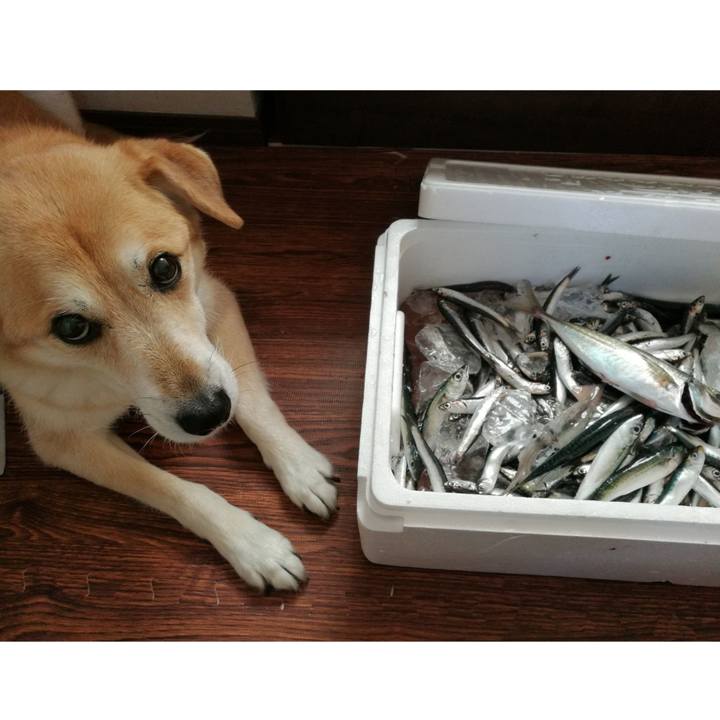 E7659843 3a04 4627 b310 2d03e2888fe2 1558671366910