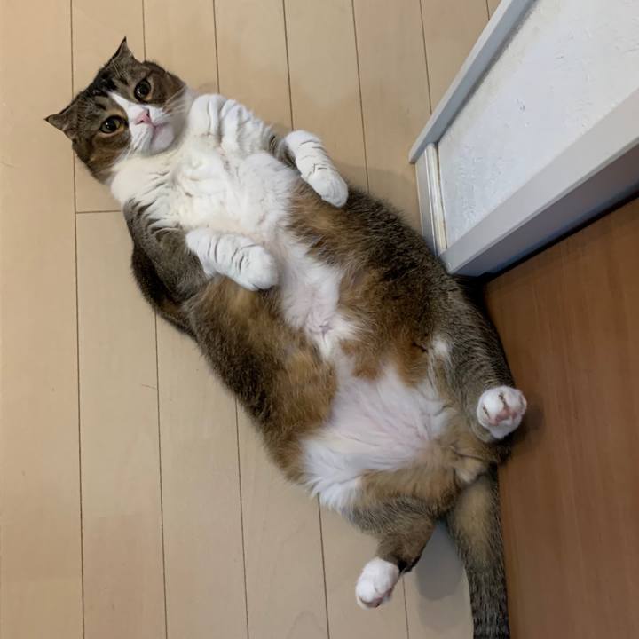 E765b29a d5f5 43f5 8557 cd6bad9fcba0 1599704031274