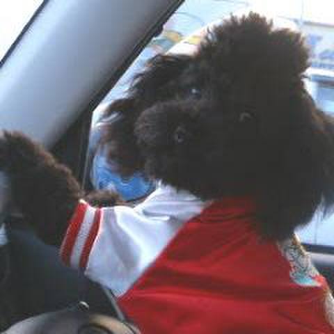 E765bc0f 4d6f 458f 91d7 e50c82c87a8e 1545485342861