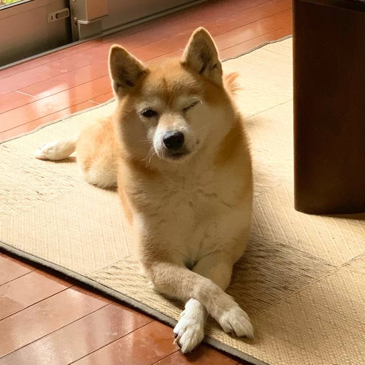 E76603e0 0ce5 446a 923d 16367254b3ff 1636162445222