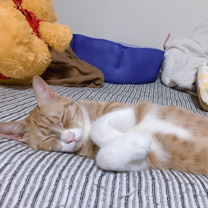 E76678fa ee7d 40db 84b1 2817c4fbc2f8 1570799958847