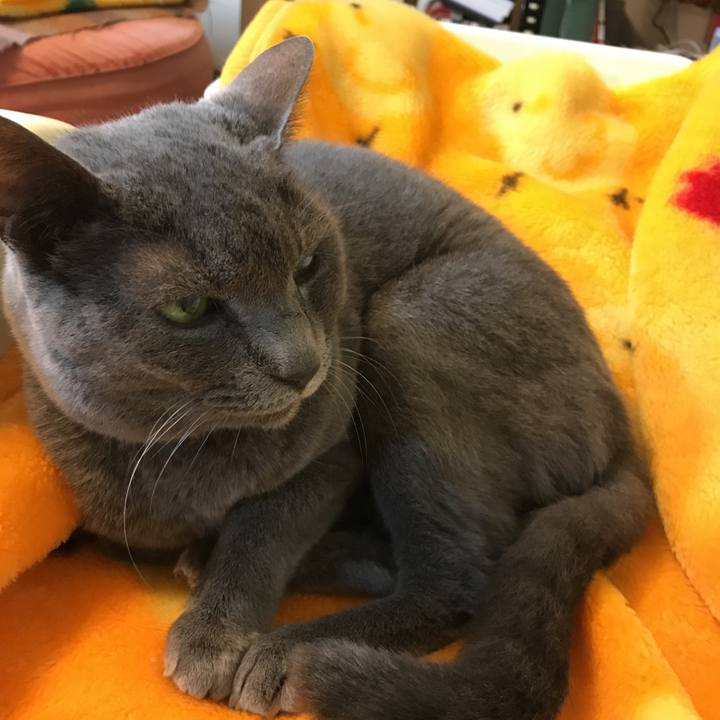 E766792c 171d 4437 b333 3480f943a46b 1508579819586