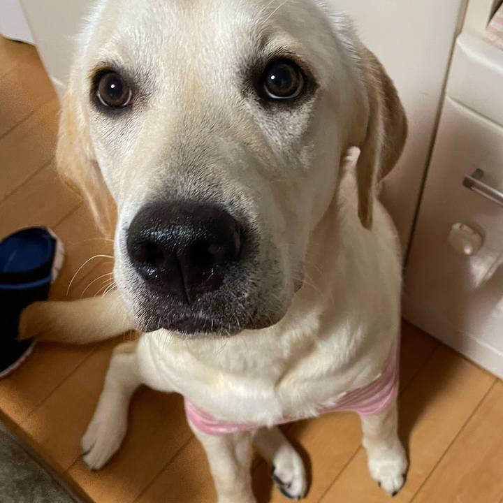 E766857b 18b0 41a6 964b 9253d058cb4d 1626001811630