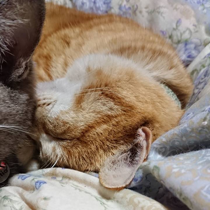 E766d726 83d3 4a88 b964 ac76775d87ae 1583496734074