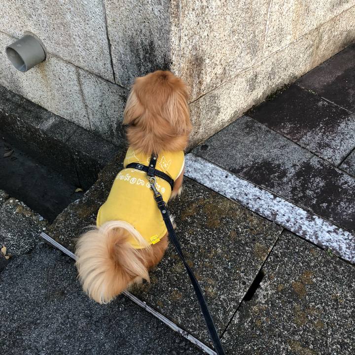 E766e55c 089c 42ed a4b4 db3a51bec602 1522099561130