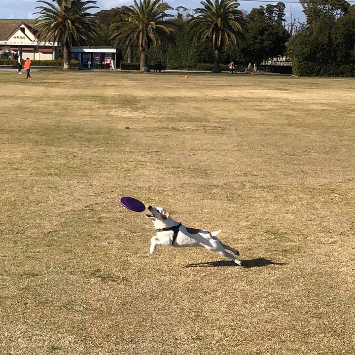 E766f84c c918 45fa 8dbc 2ed080f385ae 1520755482051