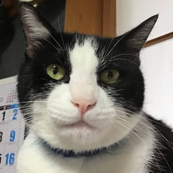 E766fc84 a316 4a92 9a80 cdbccc9e5390 1754558296314