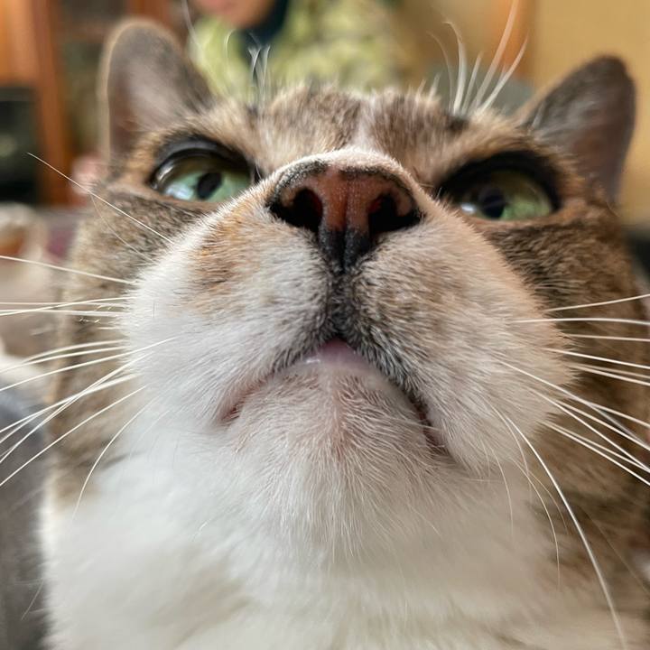 E76736d5 16c8 457c bd0c 51013eb43c56 1646705548978