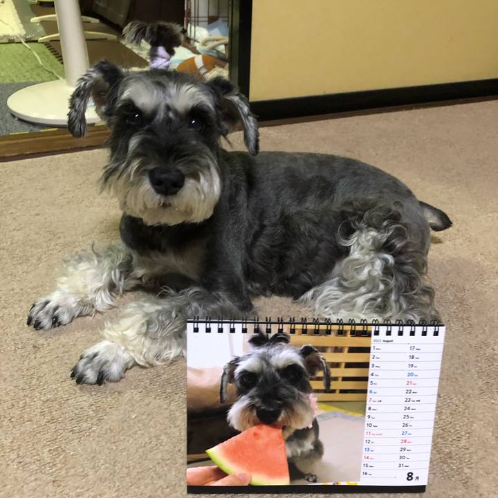 E76762d4 8920 4526 b00c 6a6f91e717da 1661957946271