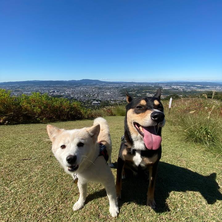 E767631a 6535 4f66 9370 0202641b303e 1666166344787