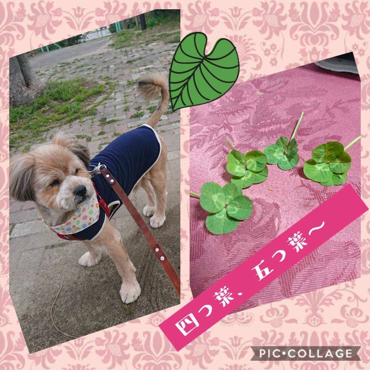 E7677a2b da55 41d1 aa83 8c4f2b17ed65 1615850682457