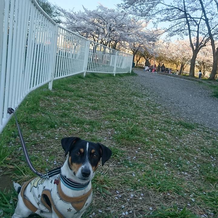 E767e360 ed36 4e86 8811 f04db0d3b611 1554366194730