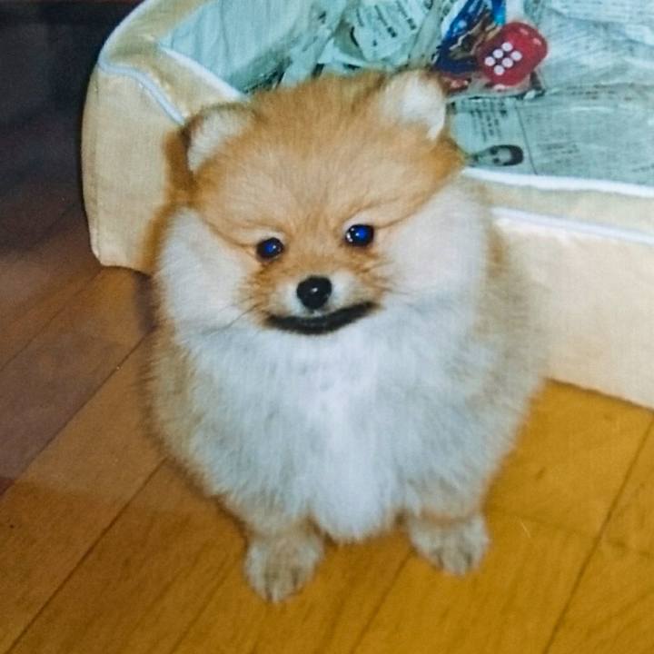 E767fc54 6f96 4bac 80a1 f3472fe727a7 1535180483613