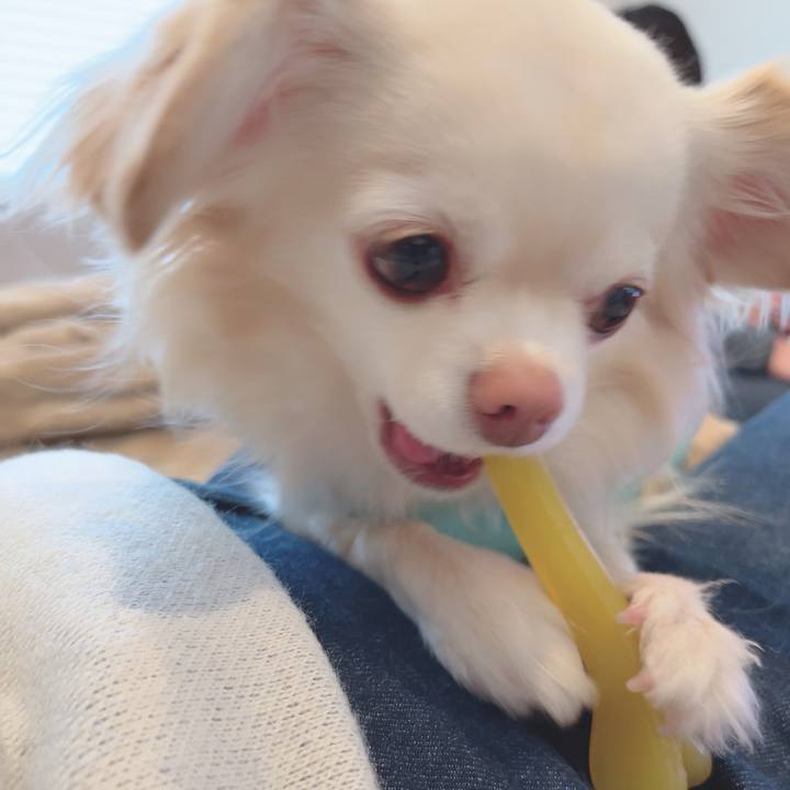 E76812b7 c830 4c50 8a4b cfbefc3780c9 1708849387397