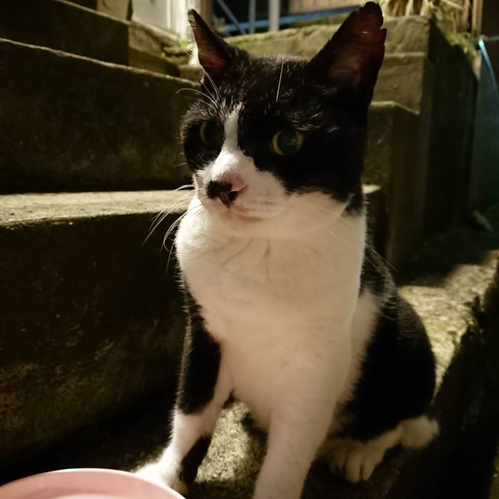 E7681f11 4566 499e a443 112ba8410d4b 1694338767817