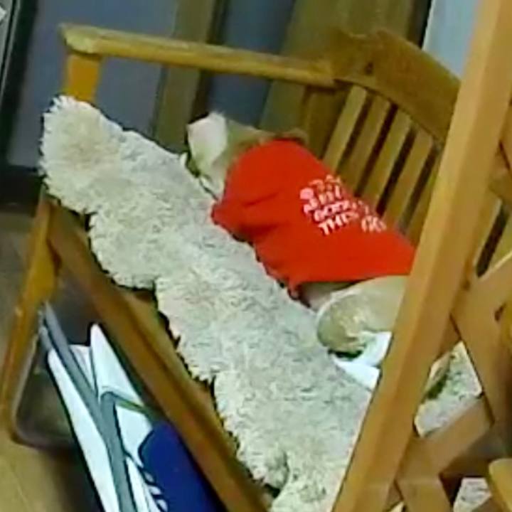 E768471a e024 4917 b3fc 8120d674d5ad 1577360756392