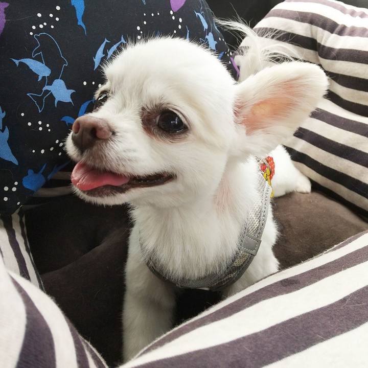 E7686467 b10f 4981 a429 f236923ab57e 1591433349404