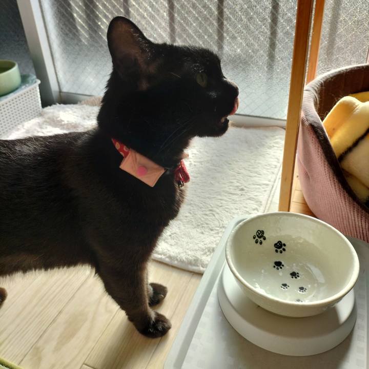 E768ec4b 28b7 4b9a 933b f7e2d714a534 1660170708335