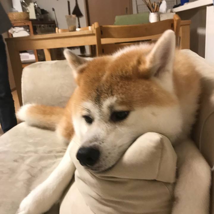 E7693731 3ff4 4fc6 b84e 5c906d077efe 1509448023369