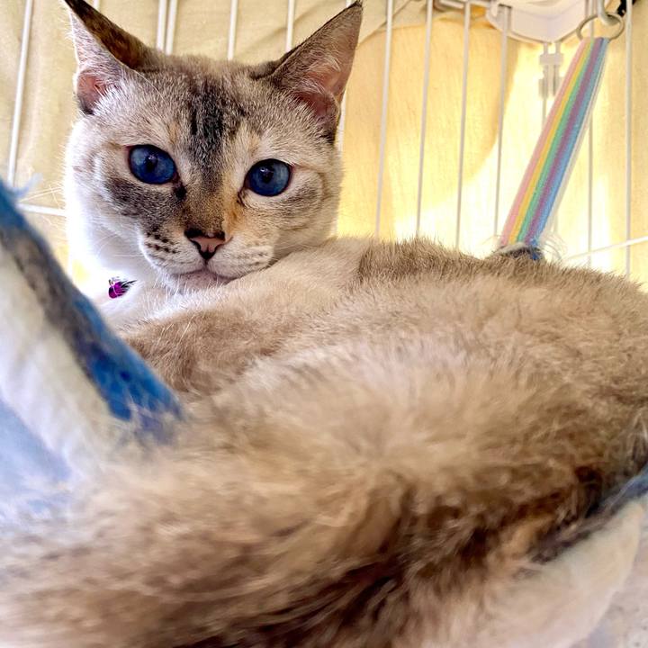 E769ac64 53c2 46fc 8312 1d46a274232a 1752373320178