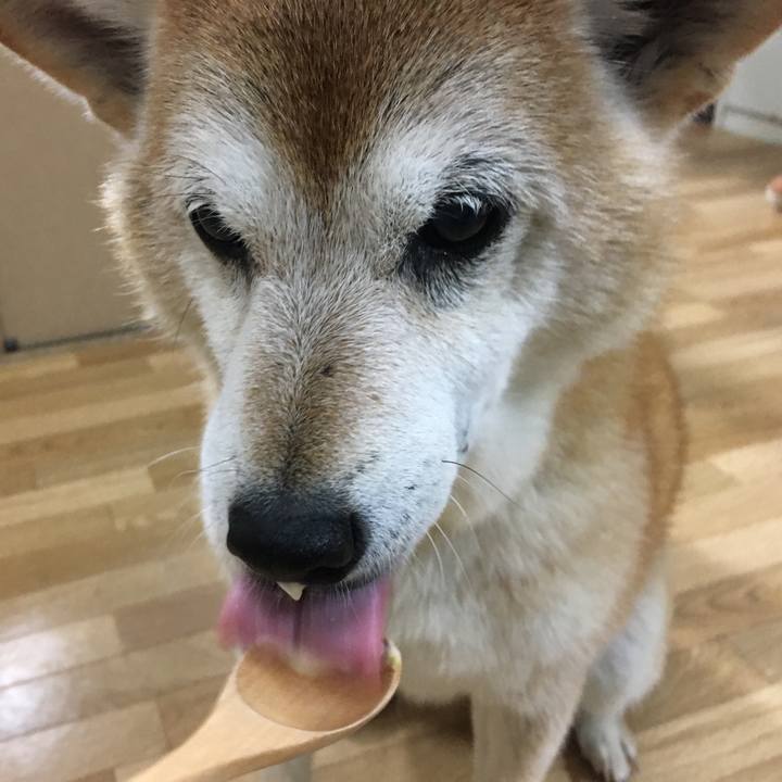 E769ca43 6b22 4c20 9daf 3f6d8ef20011 1508793979690