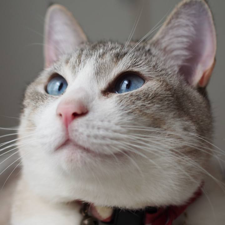 E769ceb8 9f60 4e86 a3d0 5bc2b026b47e 1581140207505