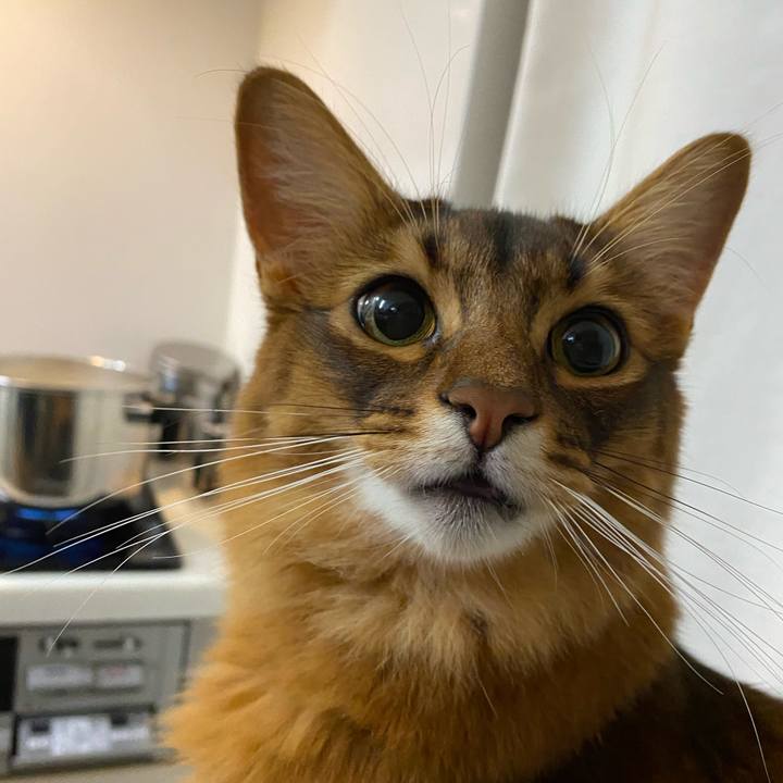 E769d18c 60c4 4817 b252 7ab28884c13b 1638784309108