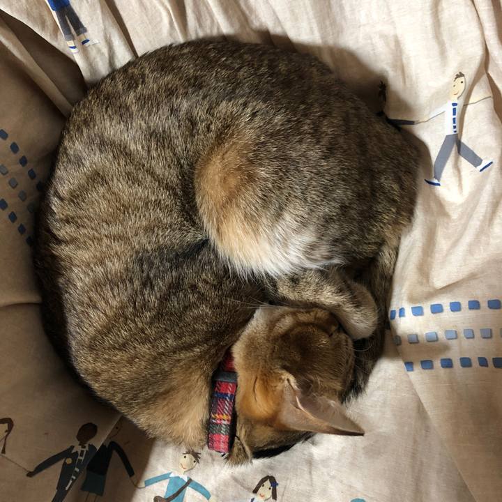 E769de0b c824 4a2e 8b76 d349107a95d9 1641377313314