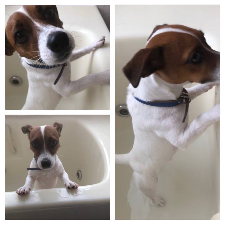 E769f2ee 9faa 4e7c a945 b1e15dbad4c1 1545989194120