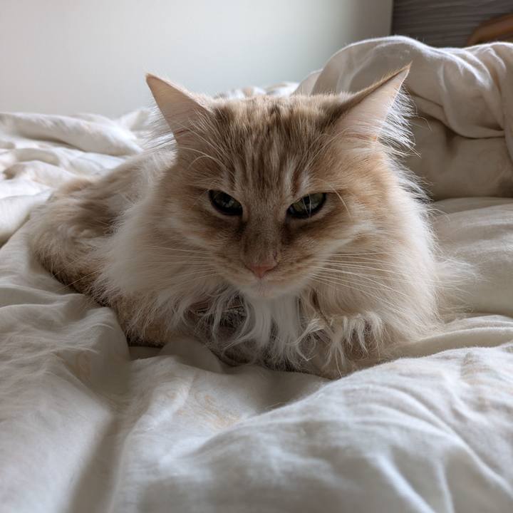 E769f776 d664 4ef9 9a89 635a88bb356b 1745632286610