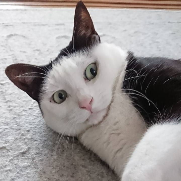 E76a1b03 e2b4 4064 994b b4d73963629f 1514447087524