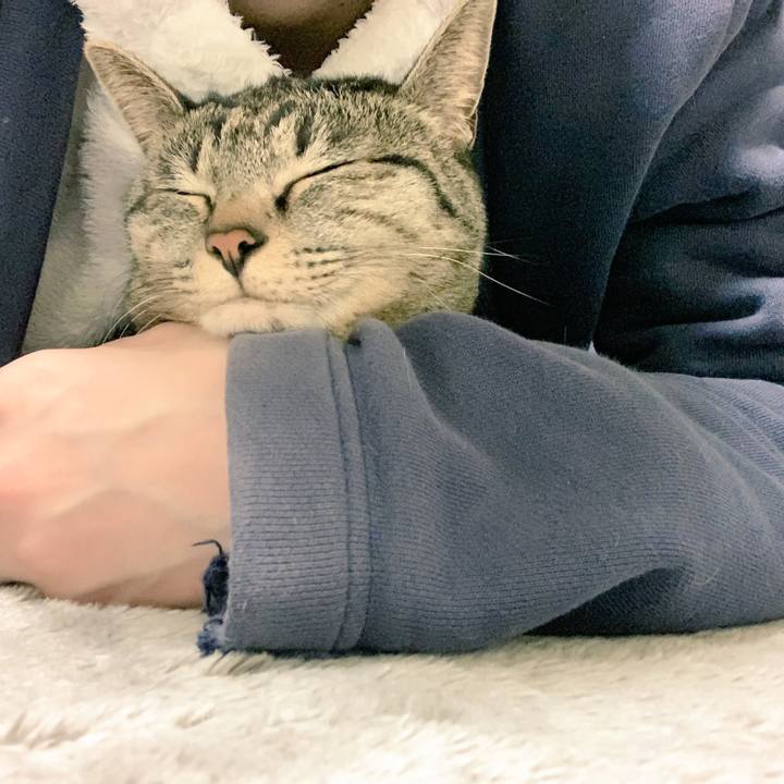 E76a3f42 8f2b 4be1 97a0 7c0f358d4624 1544879934665