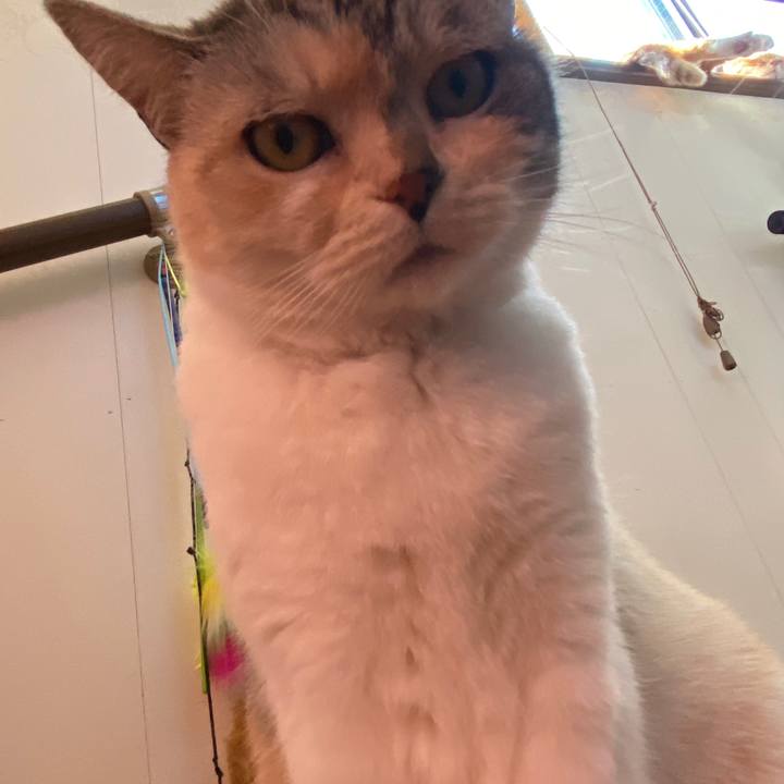 E76a4103 6a6e 43b0 9164 dd840d172f5e 1587607770419